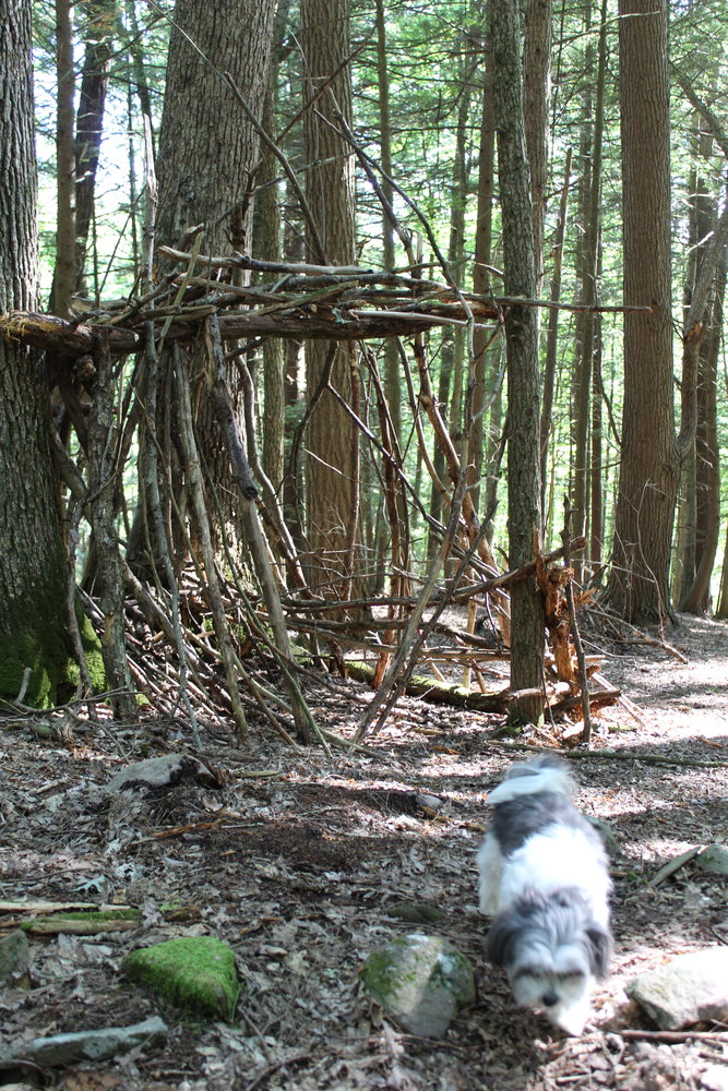 Merlin the dog at a fort built by students at the Wizard School.